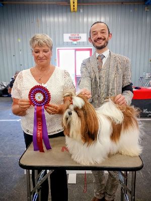 Halashan Veritable scandale