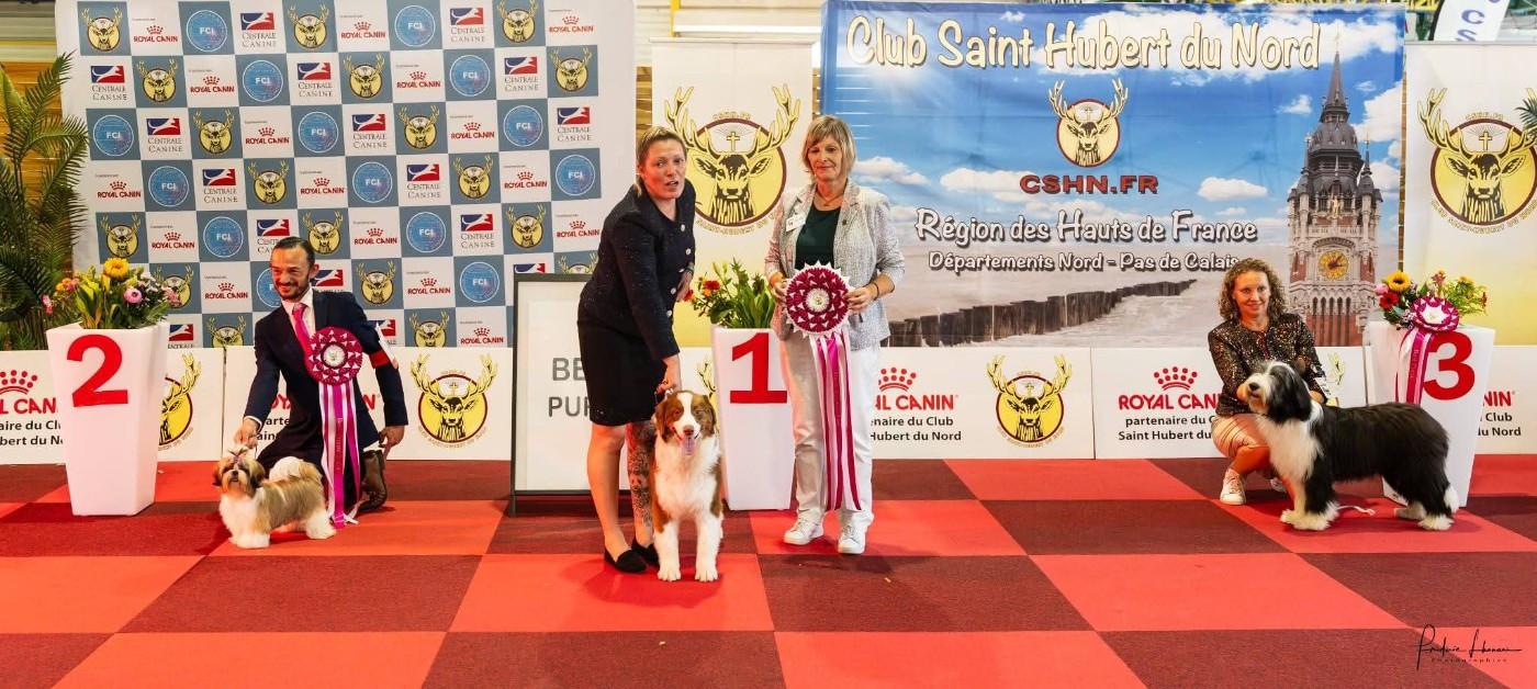 CACIB Maubeuge 2026