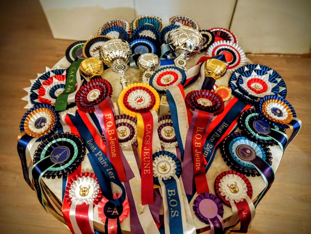 Petit bilan de l'été :